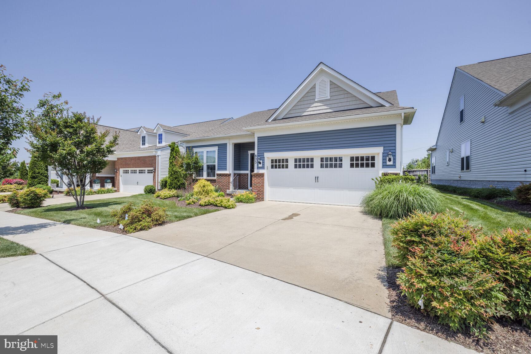 825 BUTTERFLY WEED DRIVE