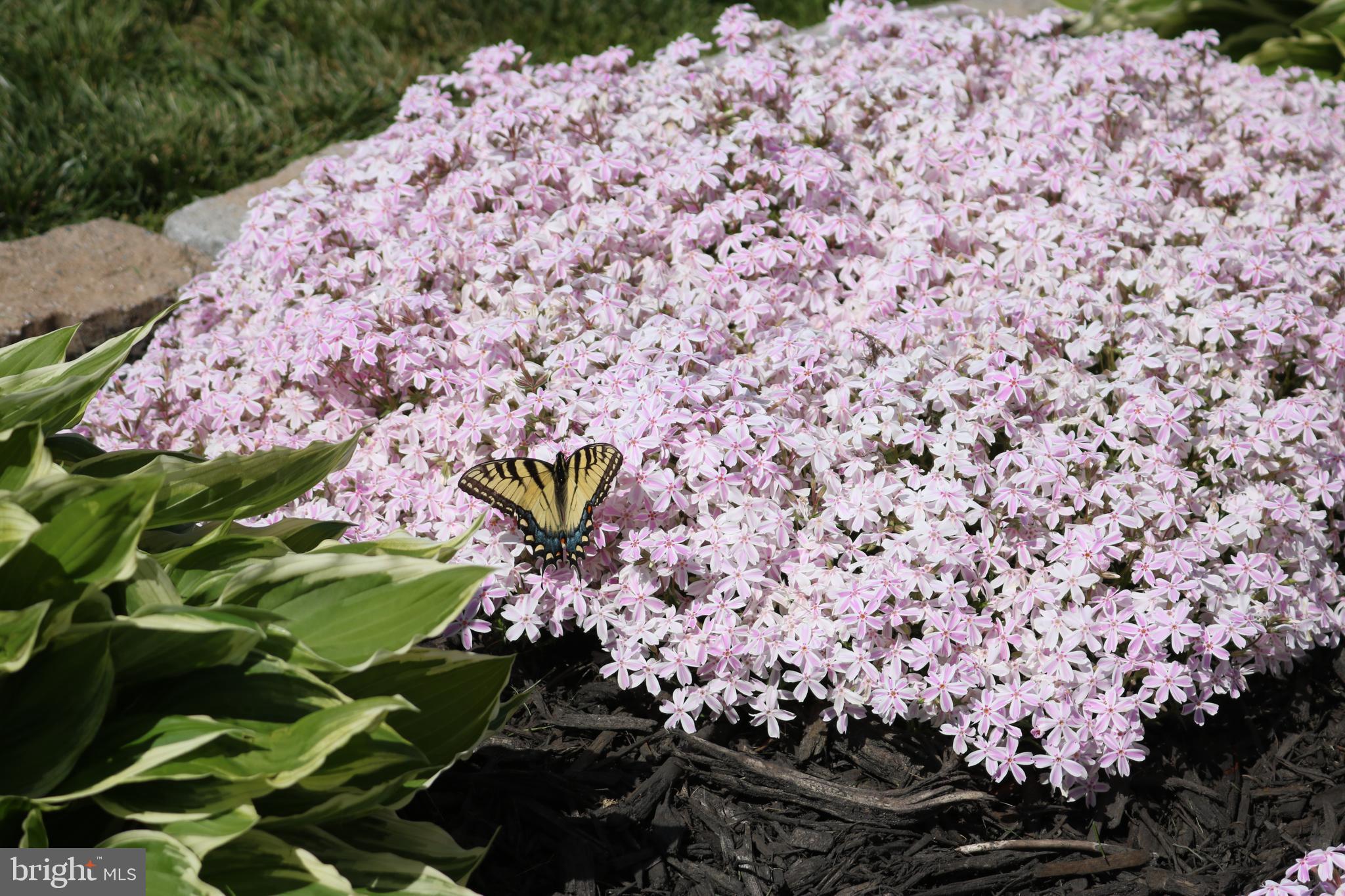 HOPYARD FARM - Residential