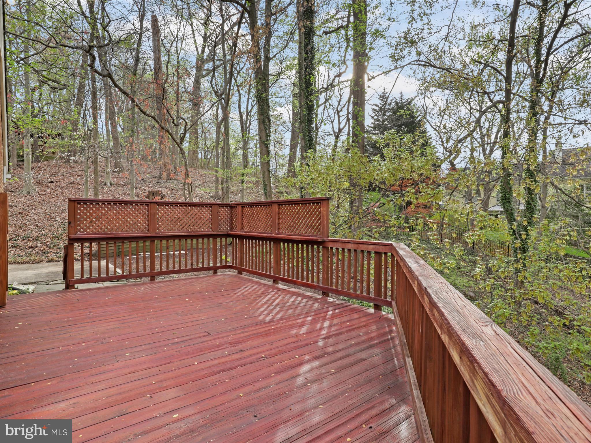 BELLEVUE FOREST - Residential