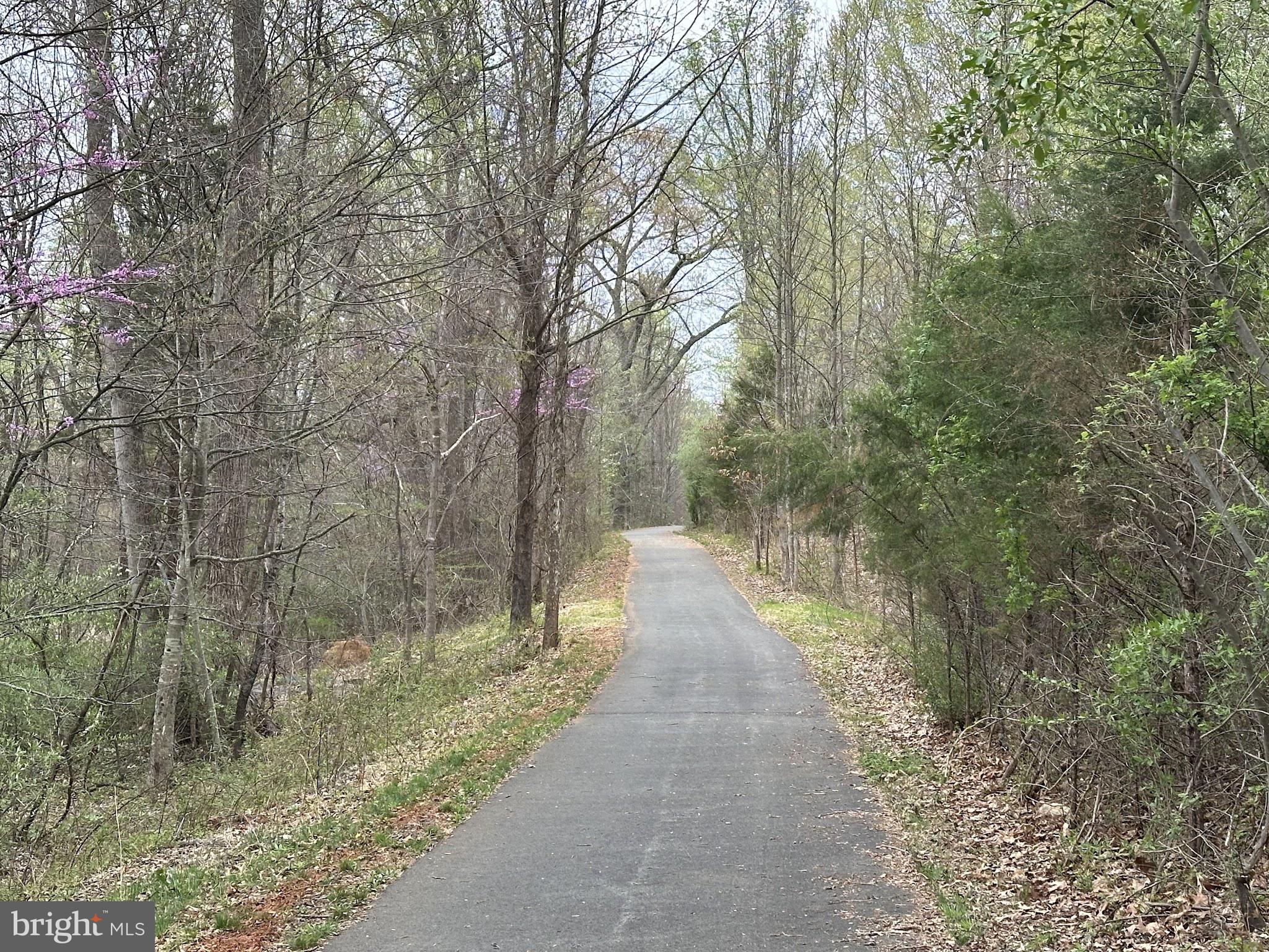 WARRENTON CHASE - Residential