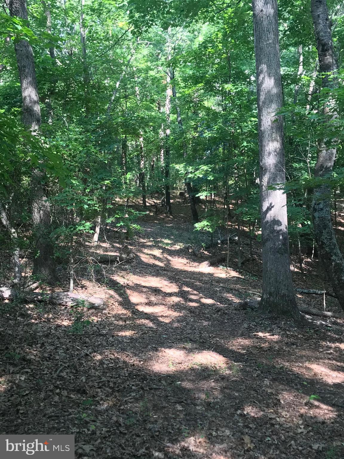 NONE AVAILABLE - Land