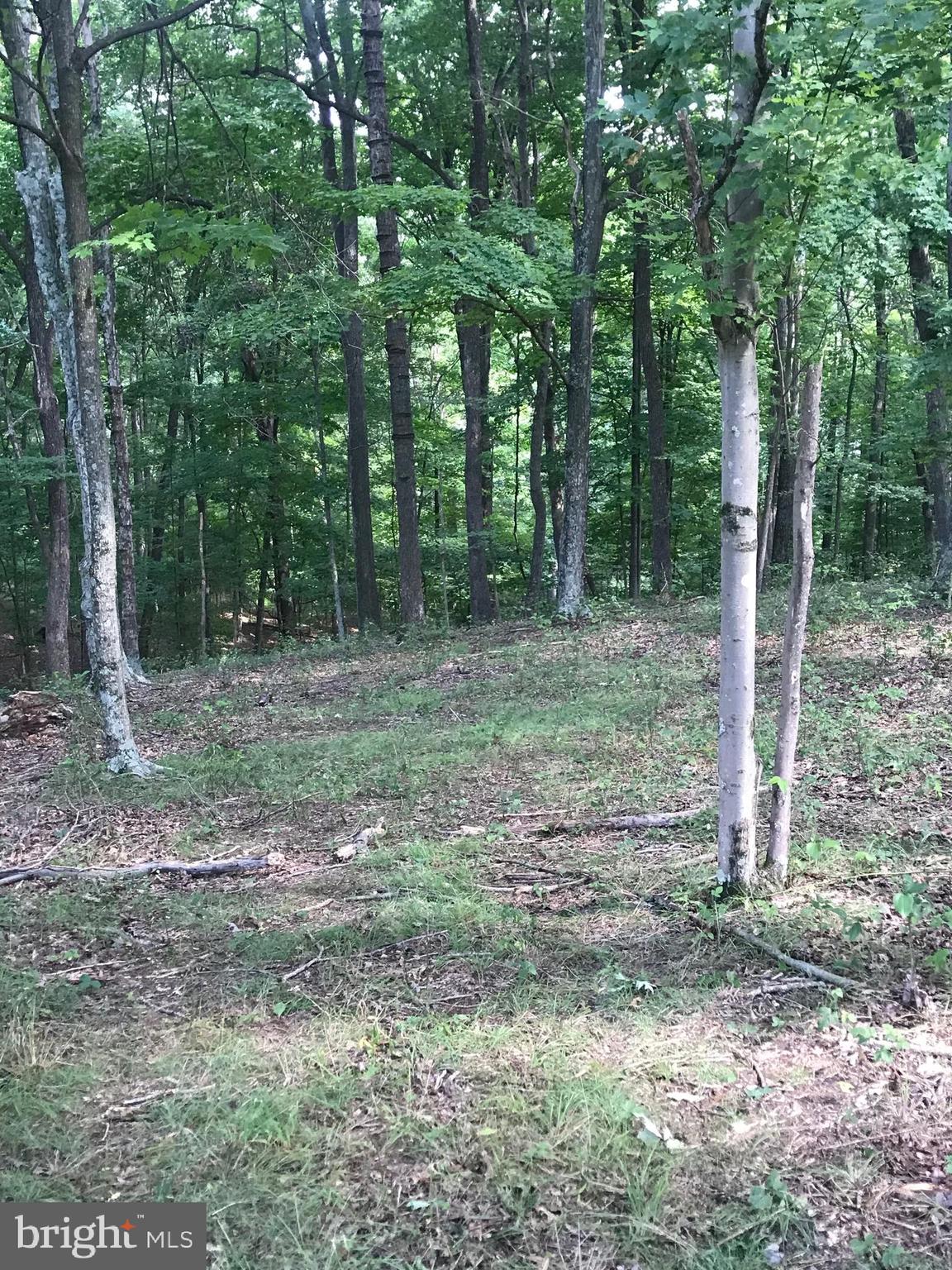 NONE AVAILABLE - Land