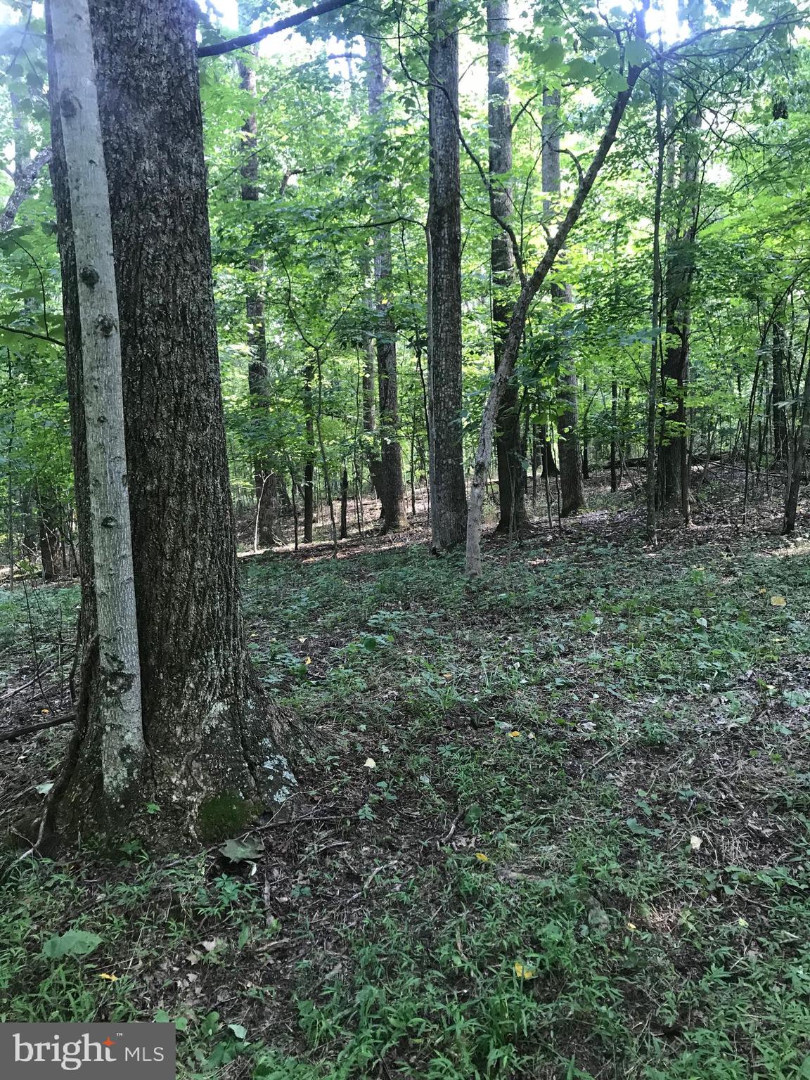 NONE AVAILABLE - Land