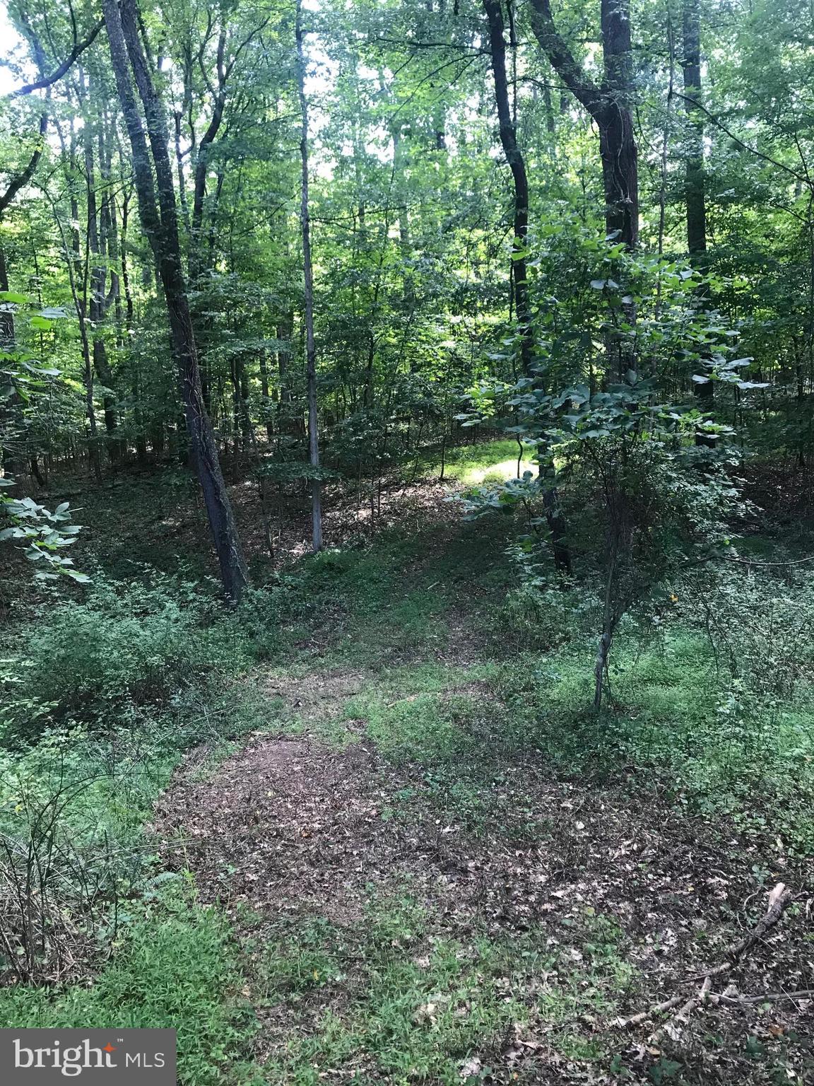 NONE AVAILABLE - Land