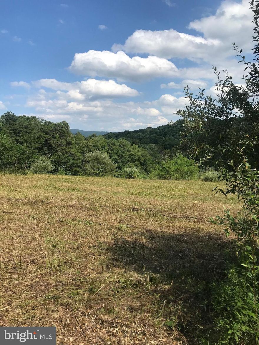 Beautiful 20 acre parcel, located within 30 minutes to Berkeley Springs or Winchester VA.  You will drive up to one open field, with new front corner markers. Nice access from the woods to another open field with Mountain Views.  Lots of wildlife and good hunting of deer and turkey.  Electric and Froniter hook-ups nearby.  Wet weather creek meanders through the woods. The HOA is not set-up.  A must see when looking for that perfect land lot.