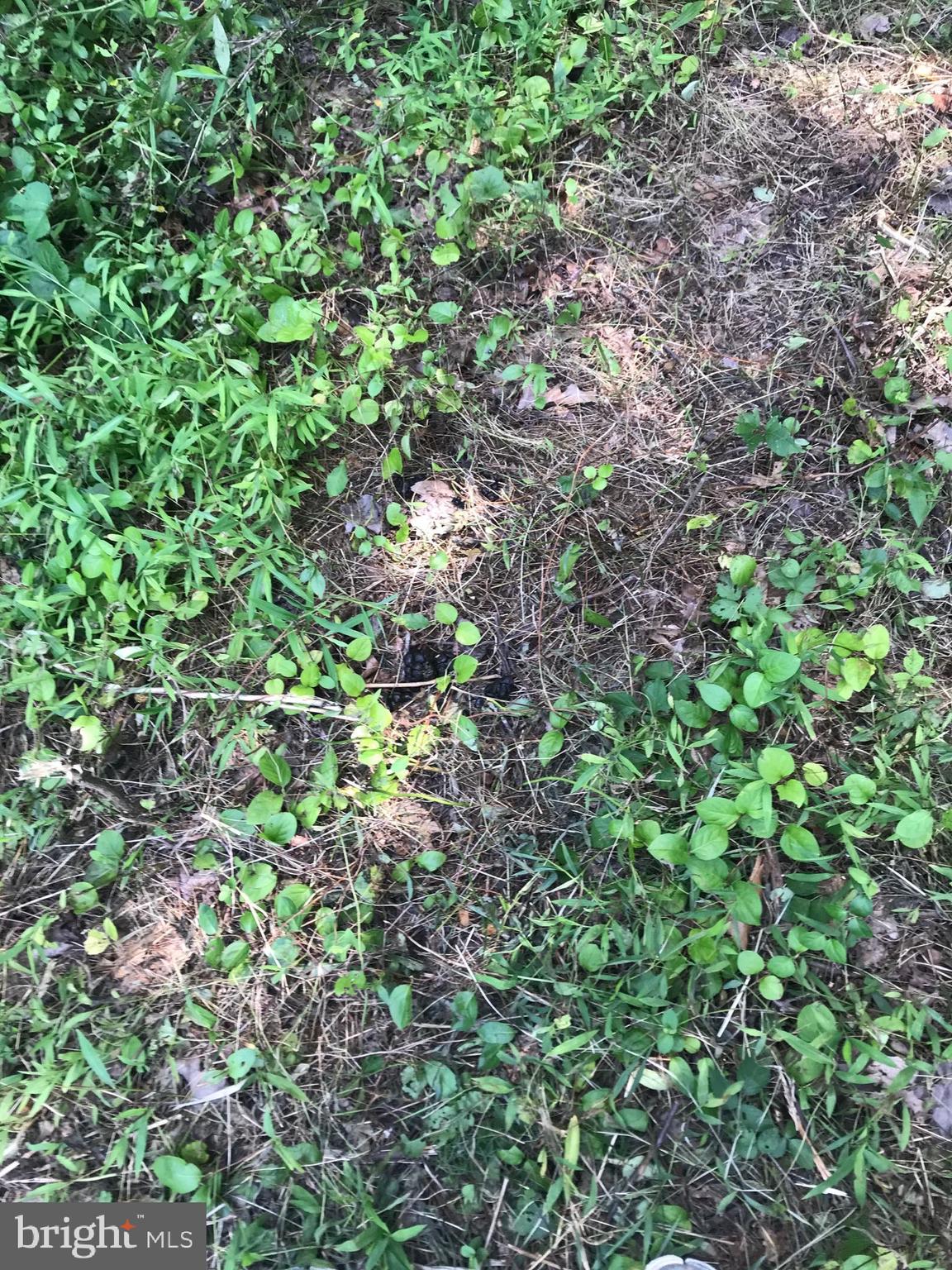 NONE AVAILABLE - Land