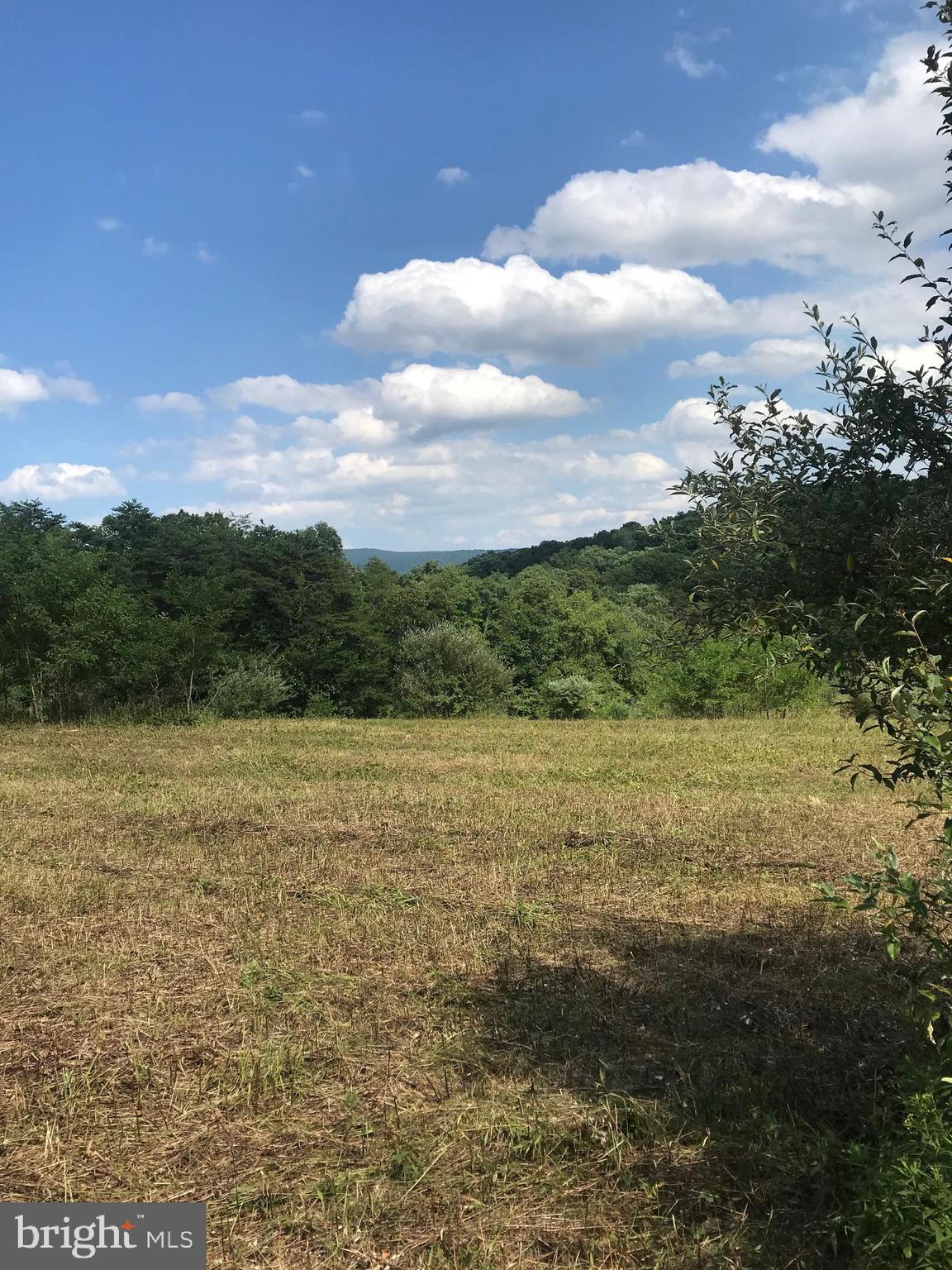 NONE AVAILABLE - Land