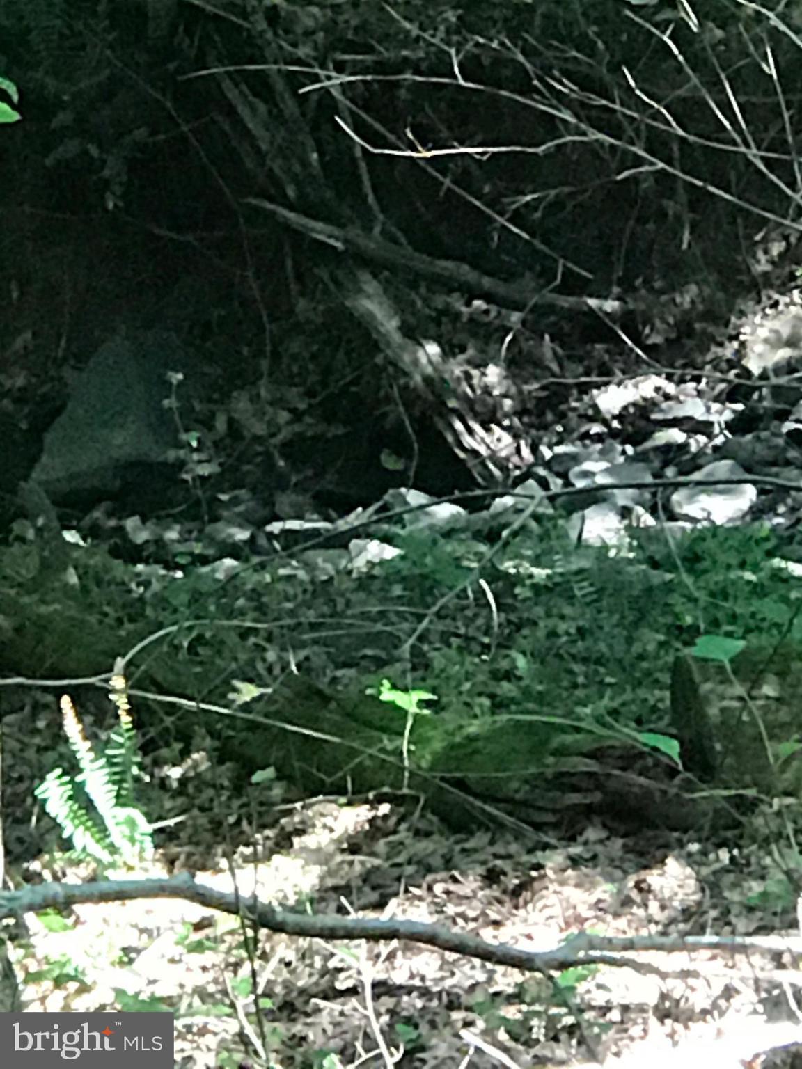 NONE AVAILABLE - Land