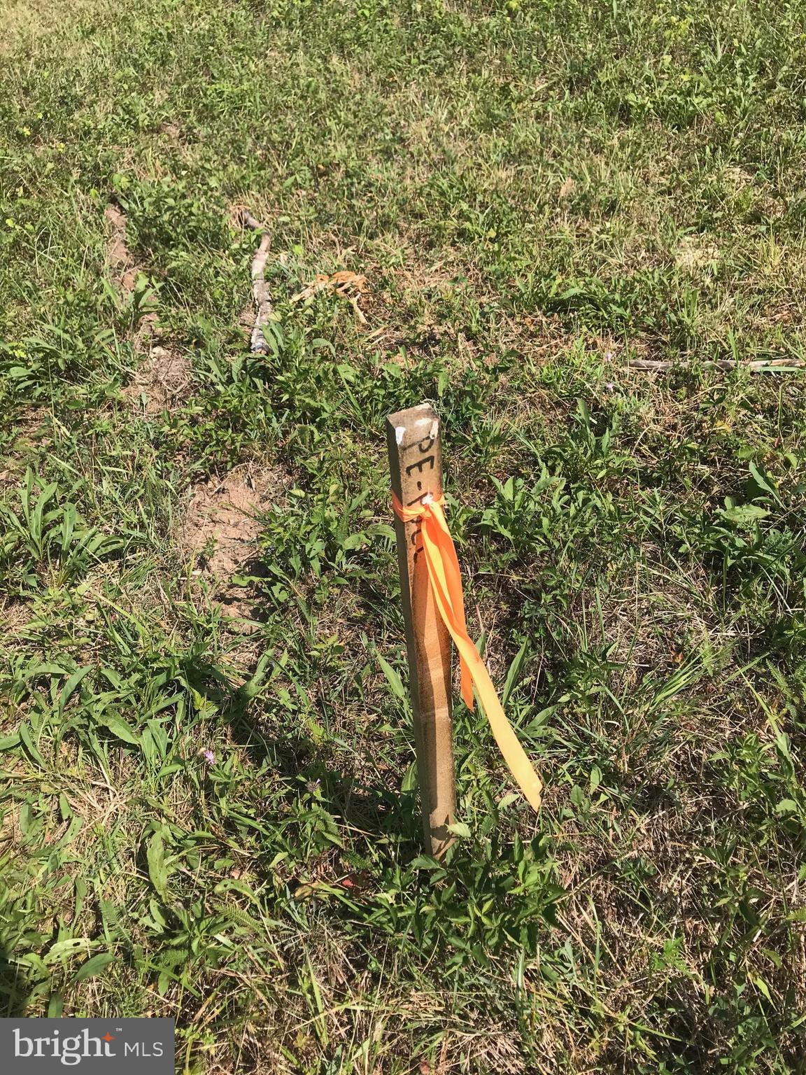 NONE AVAILABLE - Land