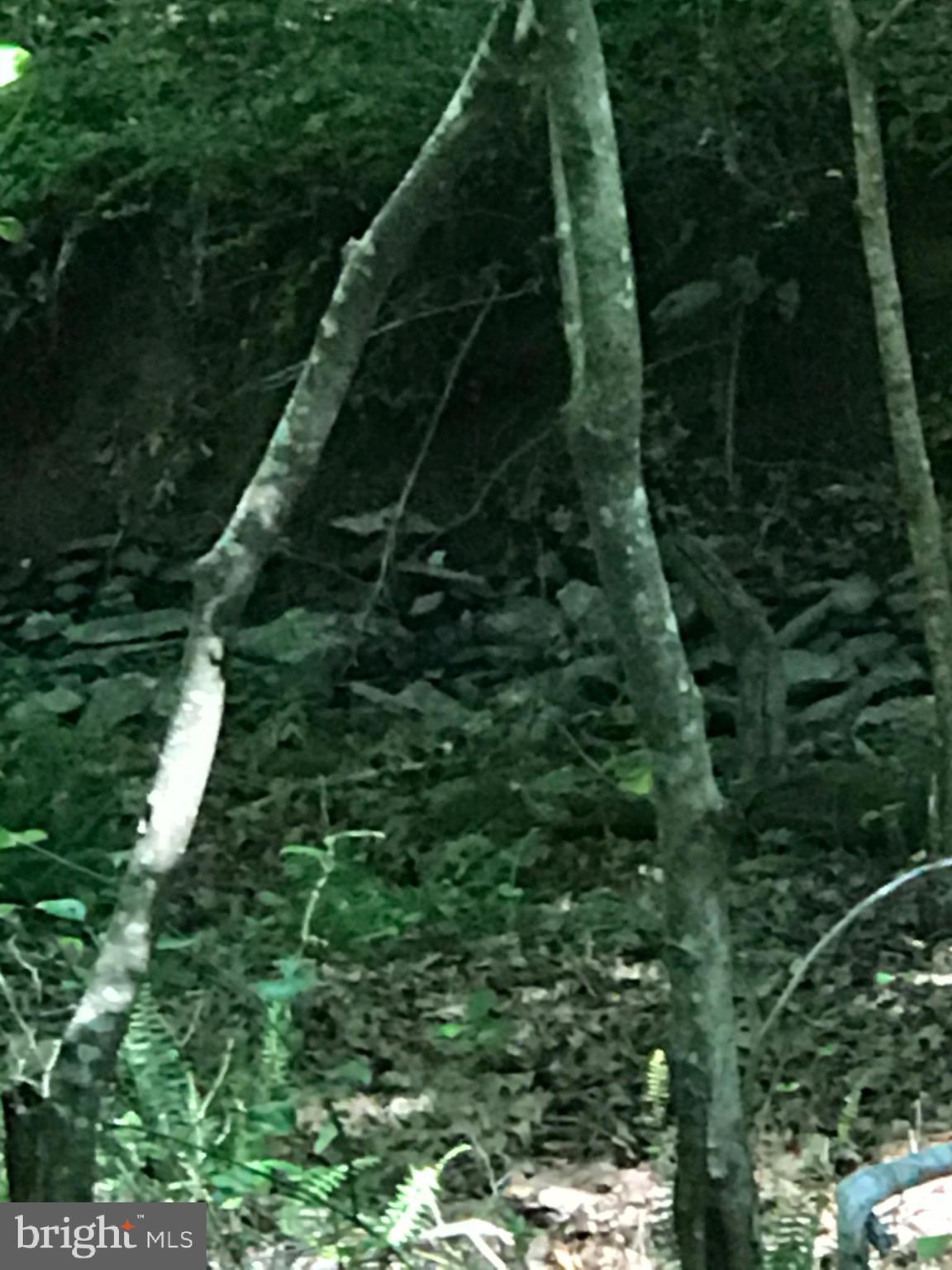 NONE AVAILABLE - Land