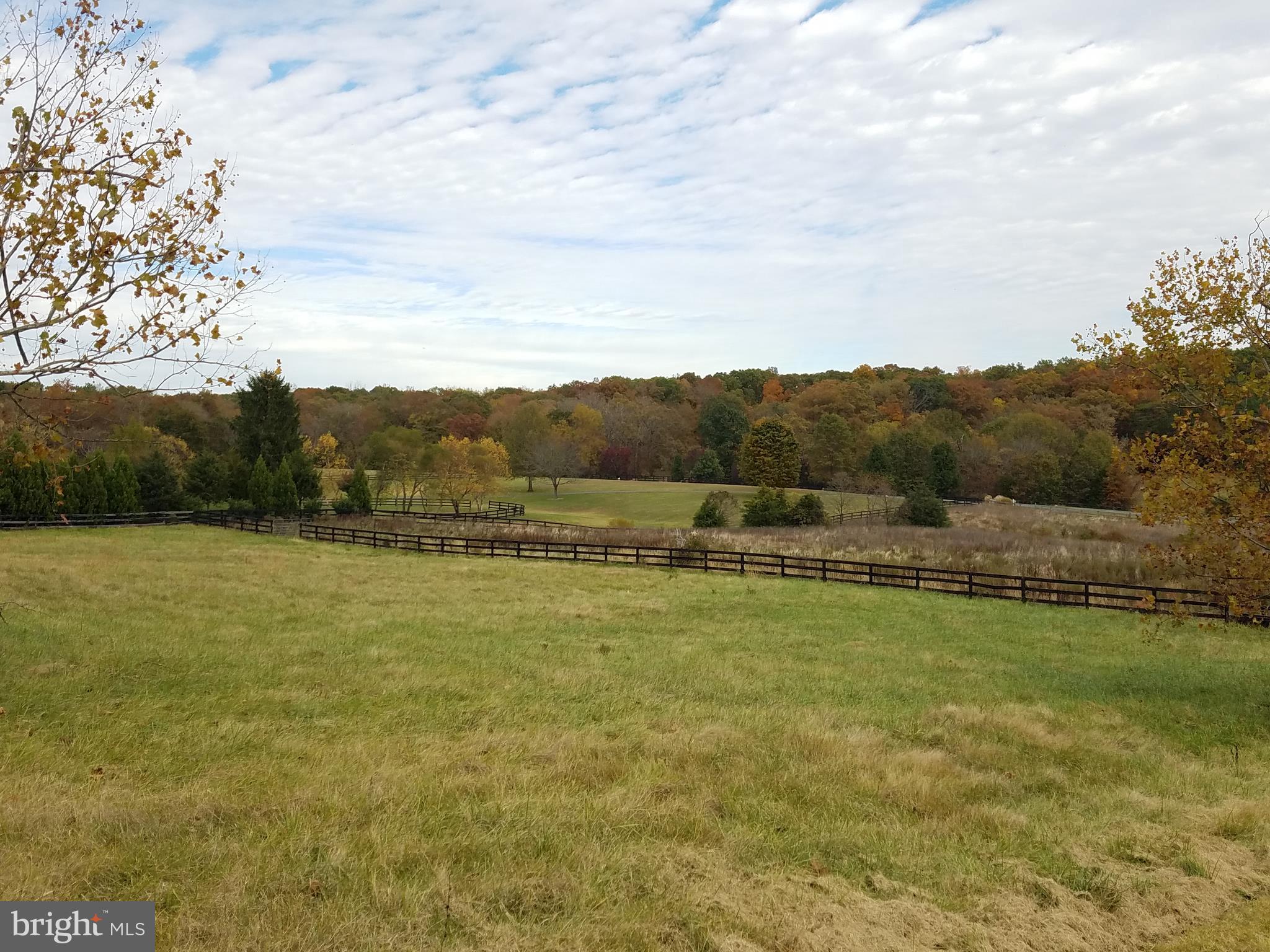SADDLE RIDGE FARMS - Residential