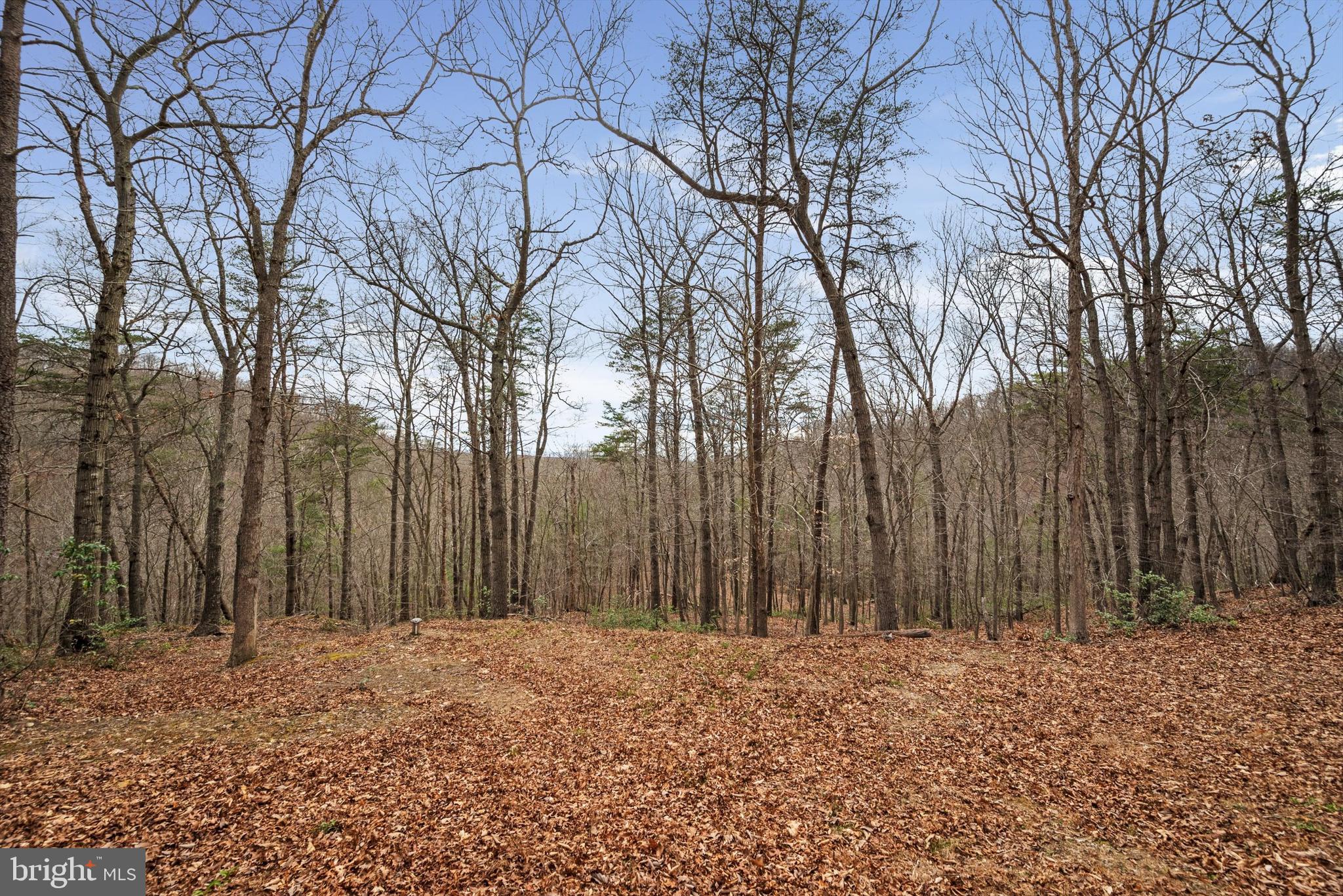 CAREFREE ACRES - Residential