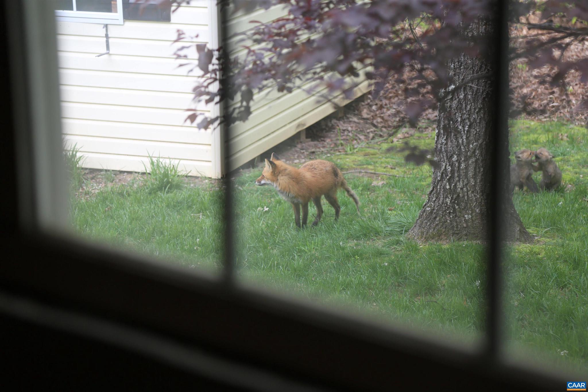 WOUNDED KNEE - Residential