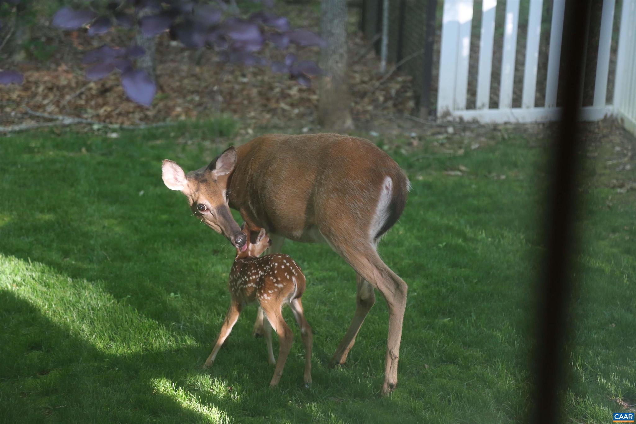 WOUNDED KNEE - Residential
