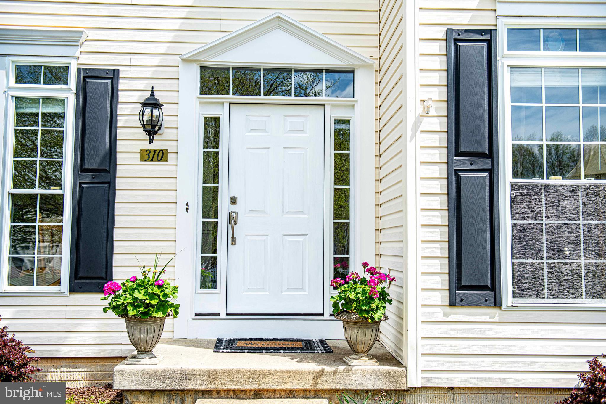 310 BLUE RIDGE COURT