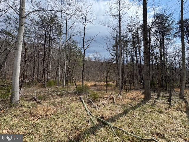 NONE AVAILABLE - Land