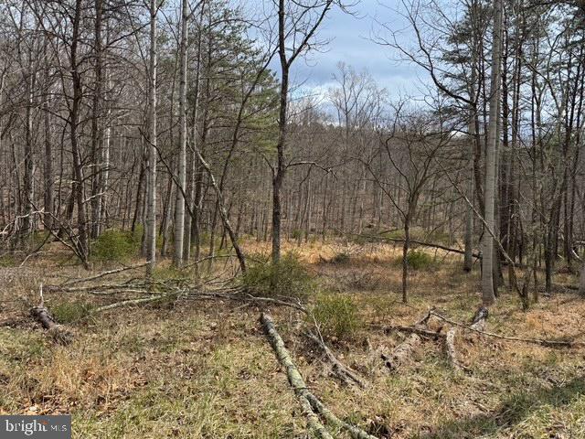 NONE AVAILABLE - Land