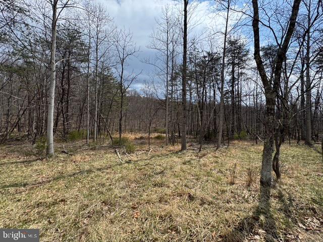 NONE AVAILABLE - Land