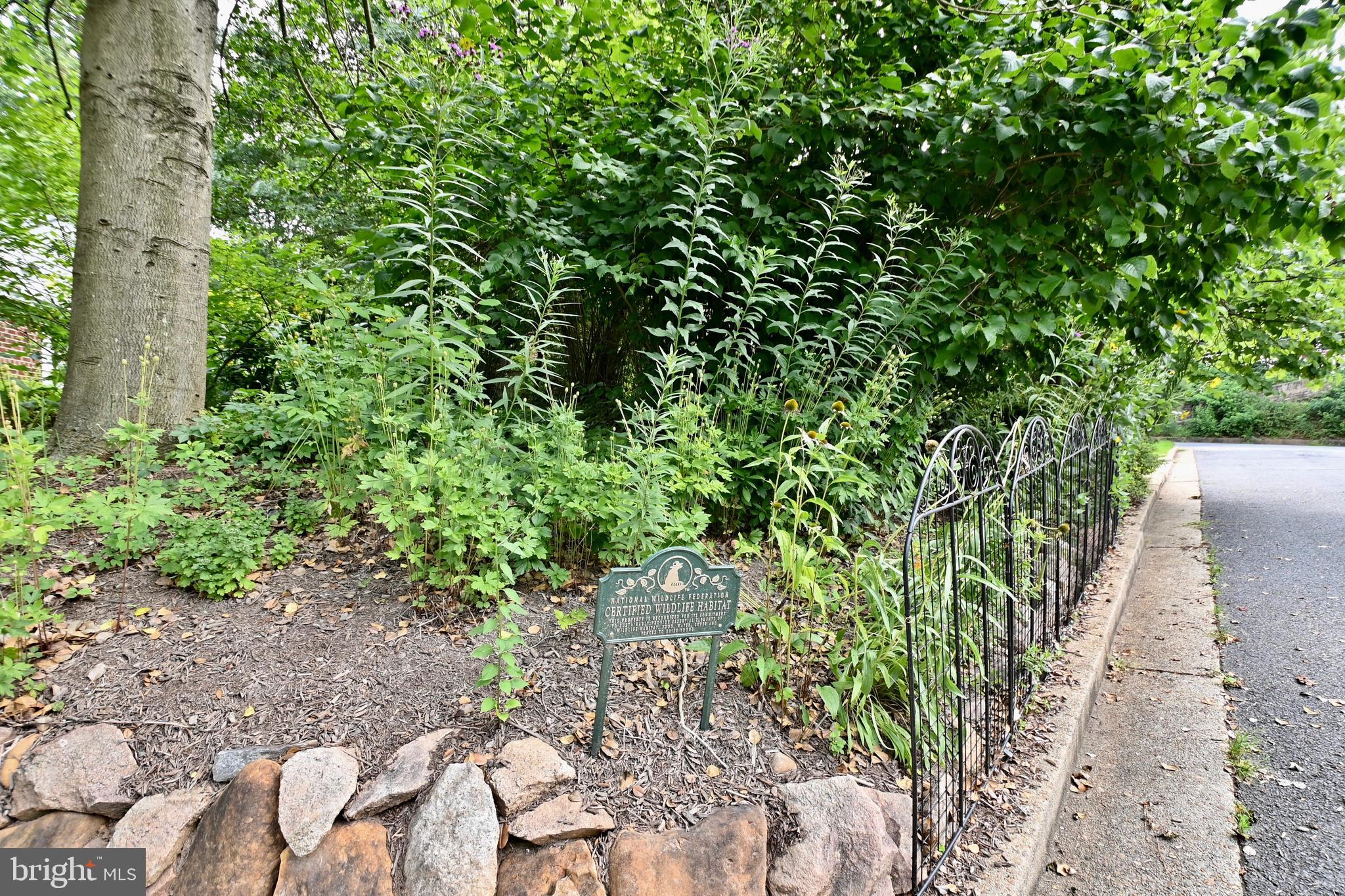 BROADMONT - Residential