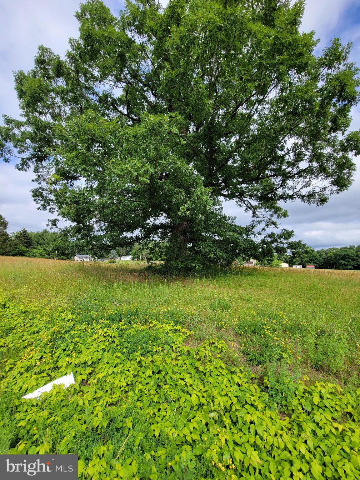 SLEEPY MEADOWS - Land