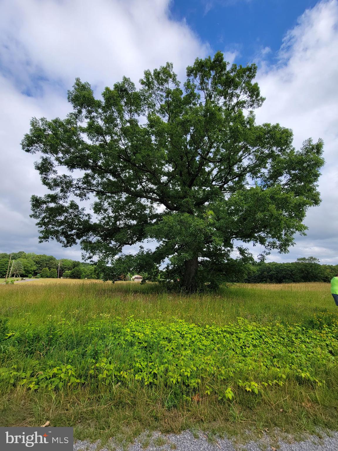 SLEEPY MEADOWS - Land