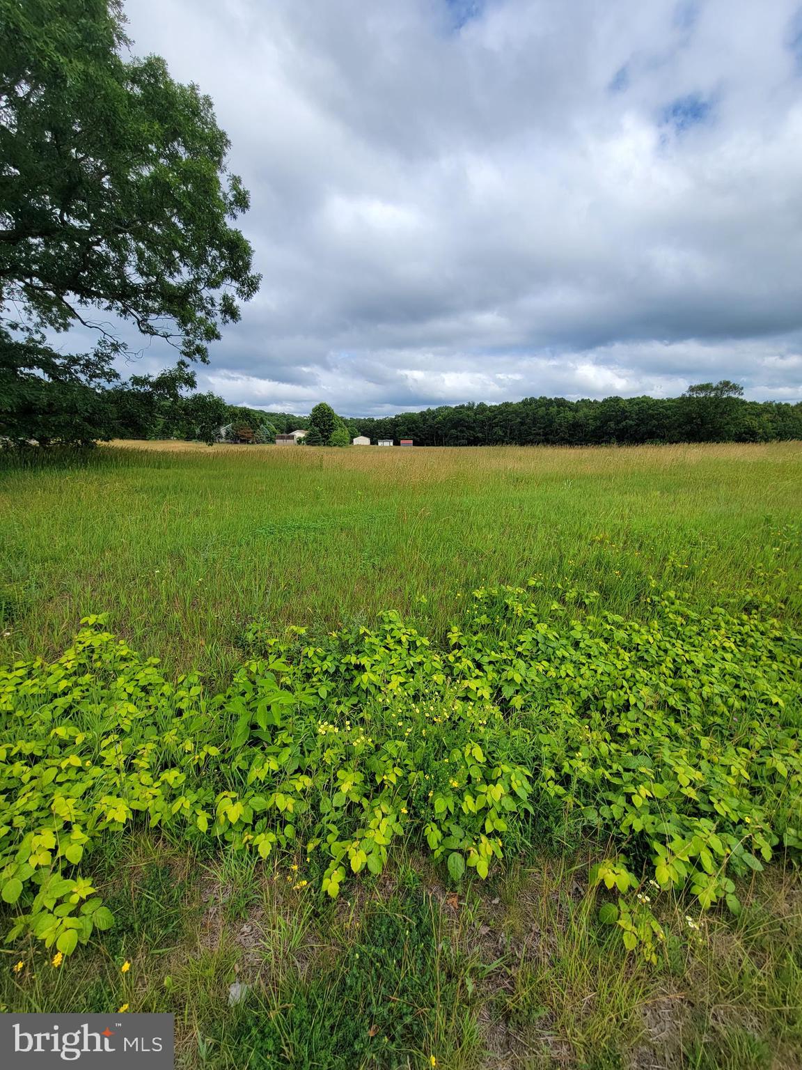 SLEEPY MEADOWS - Land