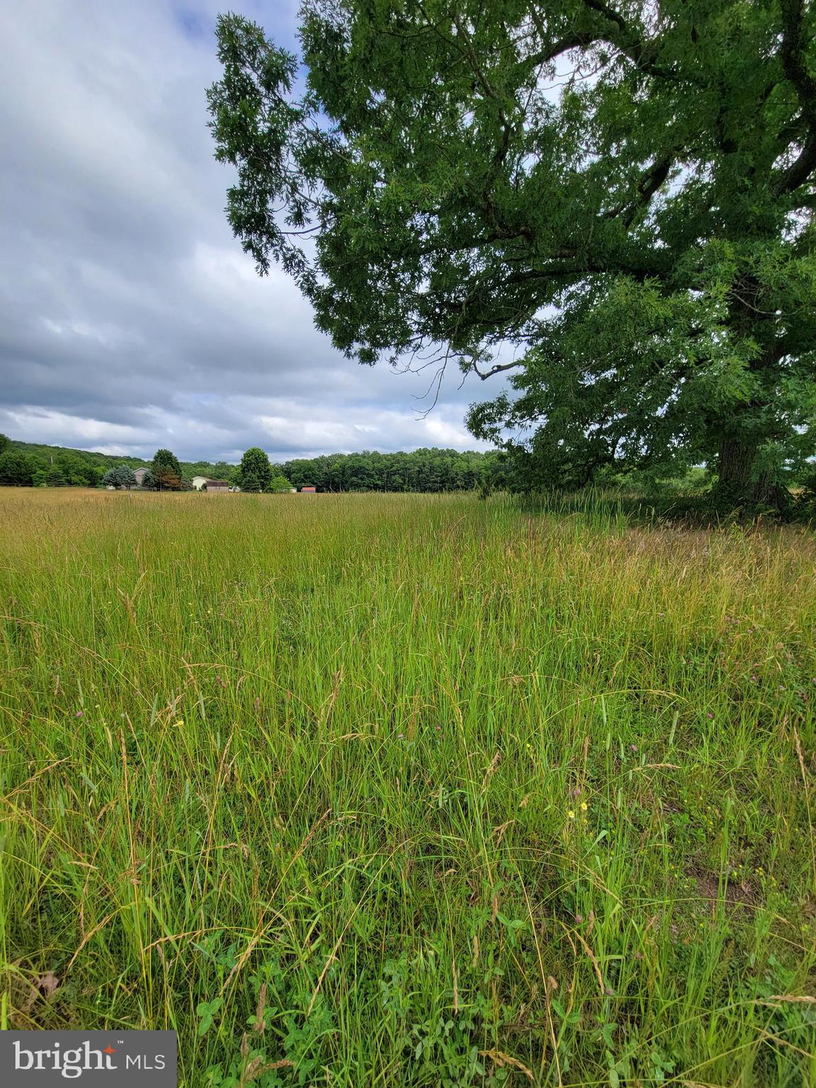 SLEEPY MEADOWS - Land