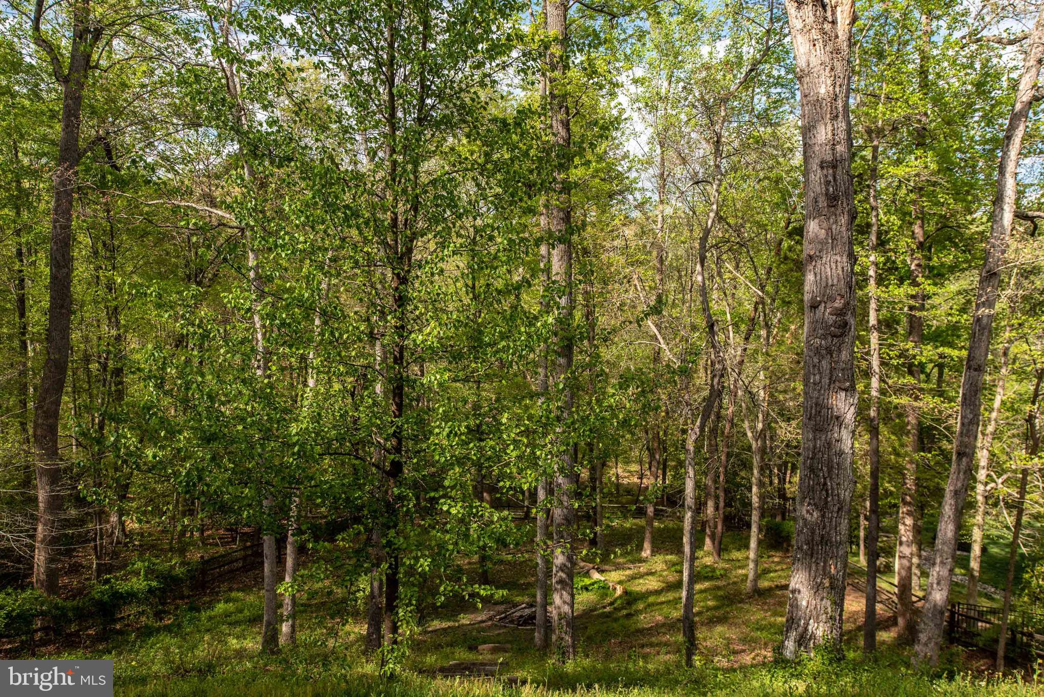 BALD EAGLE HILLS - Residential