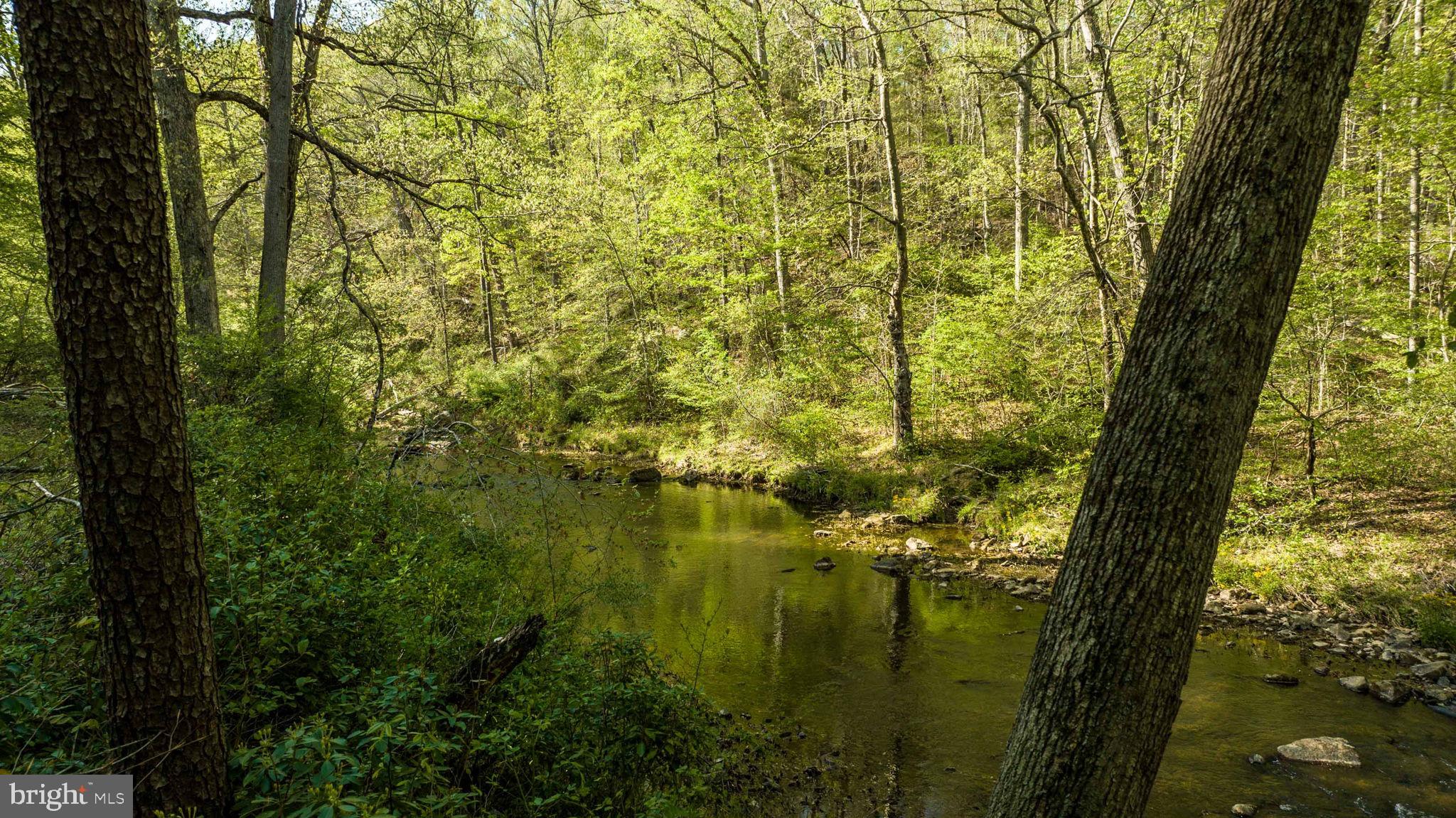 BALD EAGLE HILLS - Residential