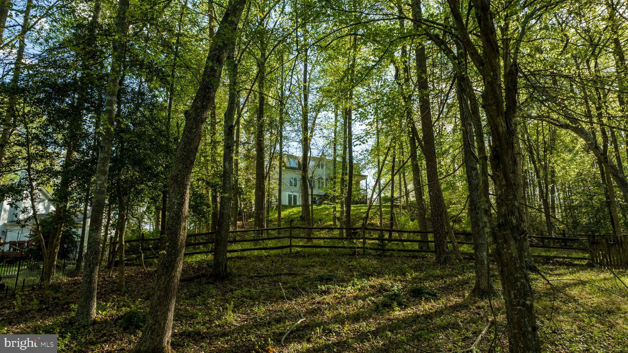 BALD EAGLE HILLS - Residential