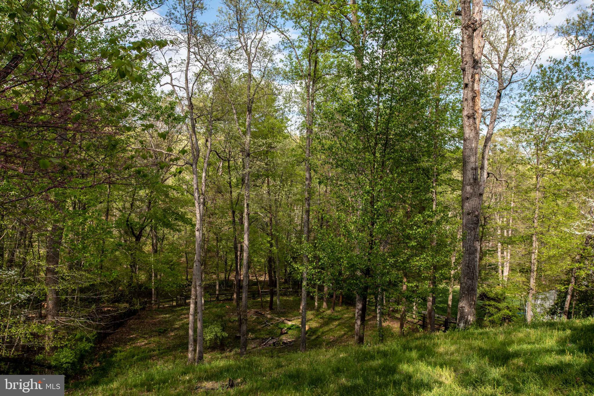 BALD EAGLE HILLS - Residential