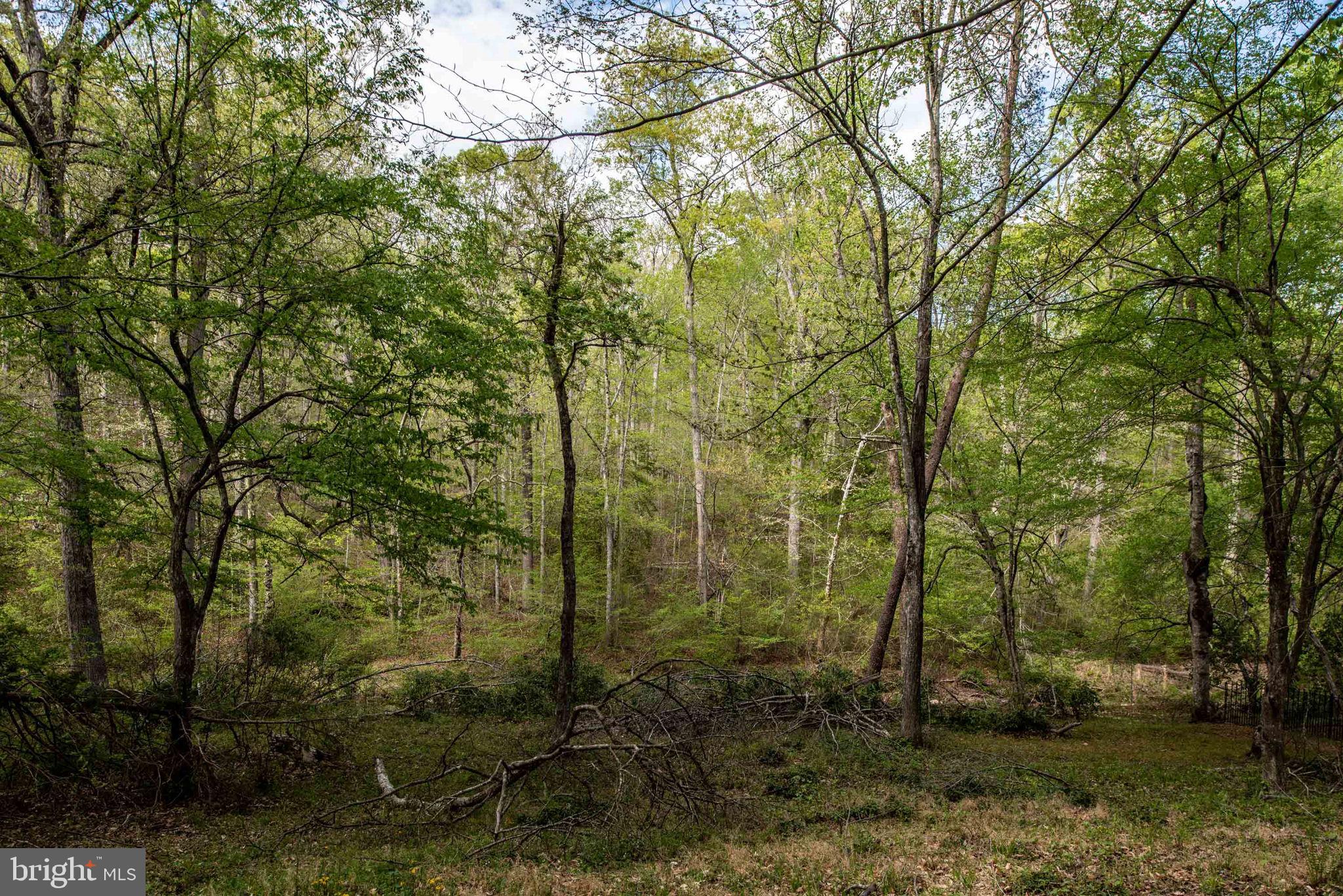 BALD EAGLE HILLS - Residential