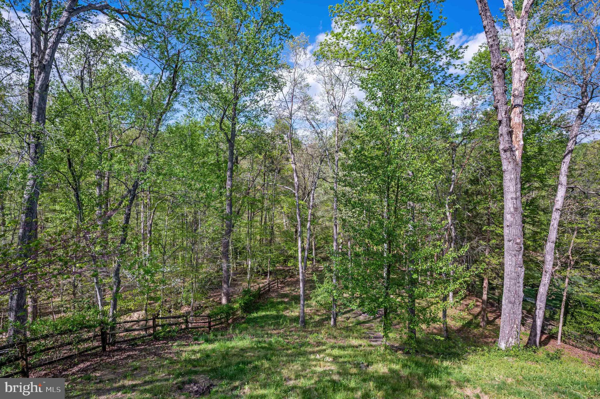BALD EAGLE HILLS - Residential