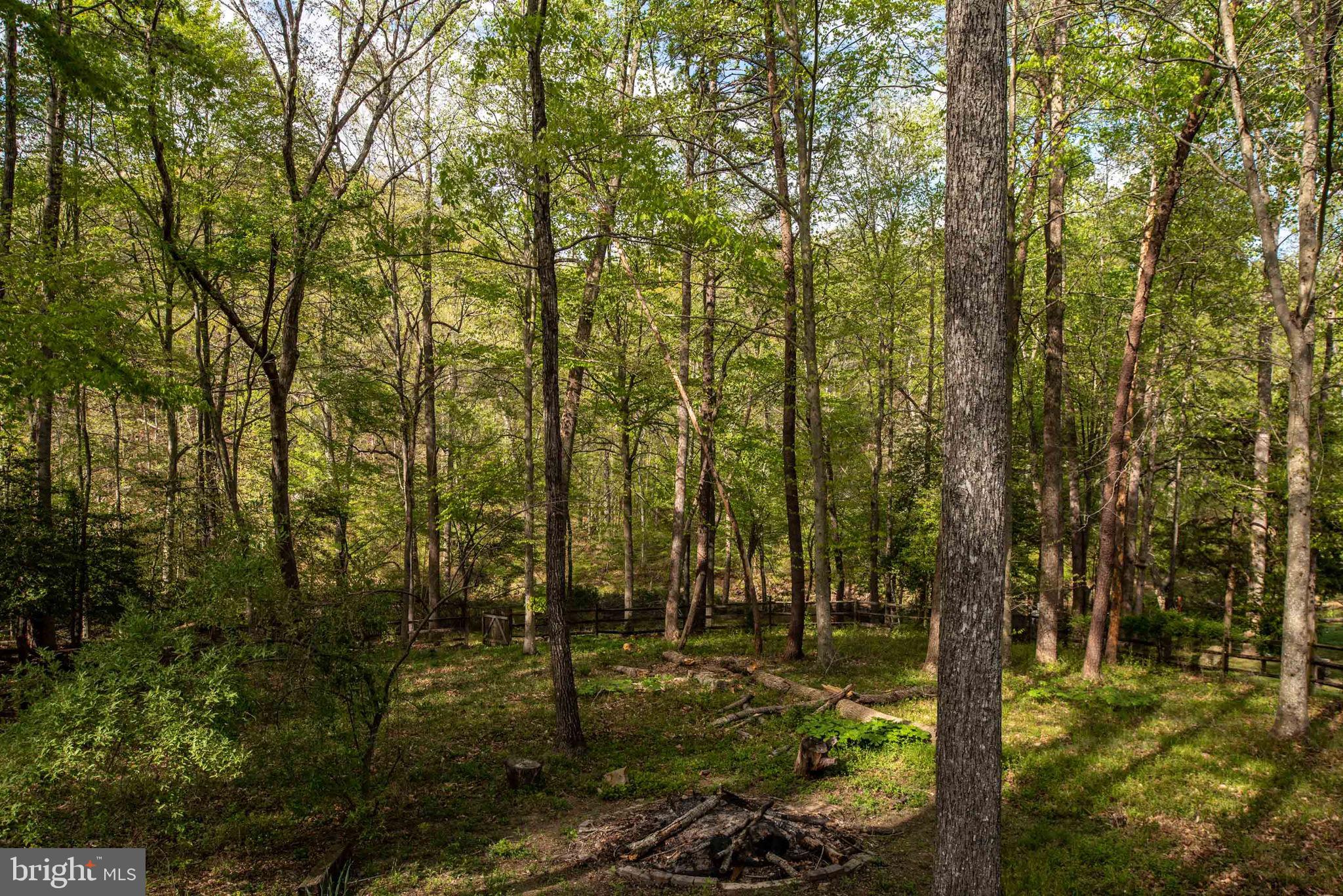 BALD EAGLE HILLS - Residential