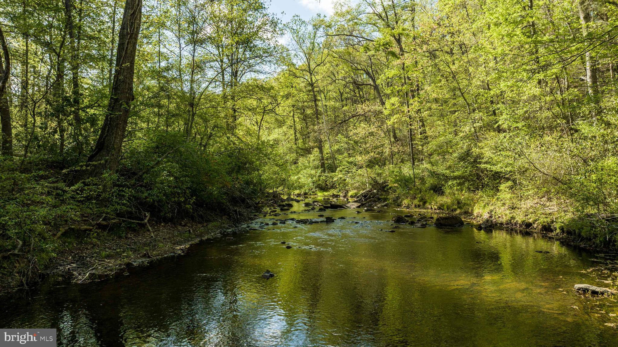 BALD EAGLE HILLS - Residential