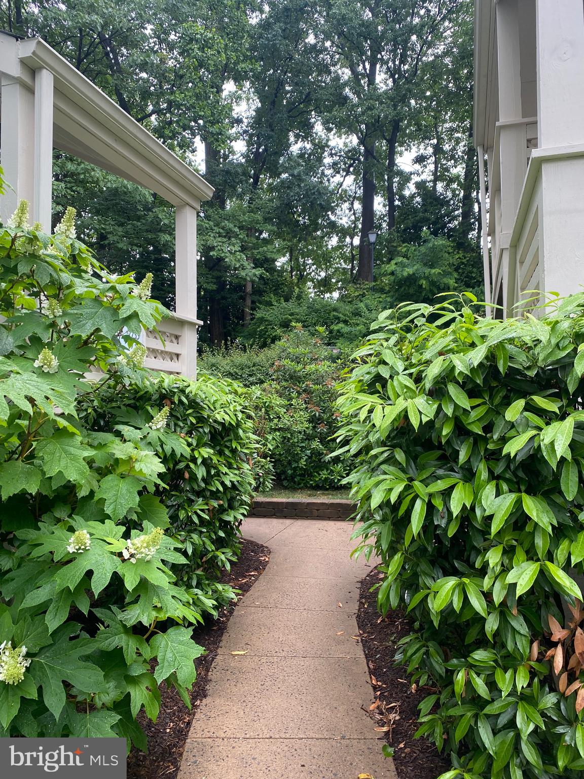 WILLOW POINT - Residential Lease