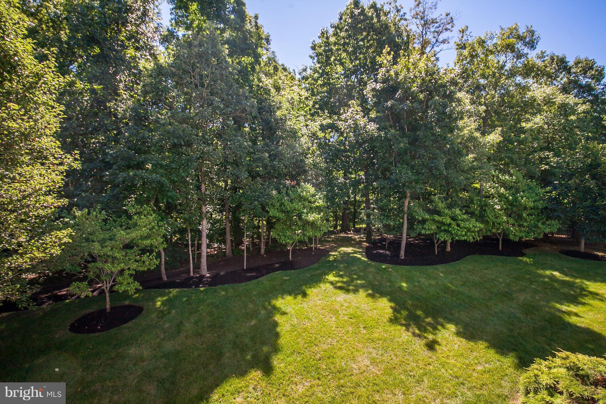 PIEDMONT - Residential