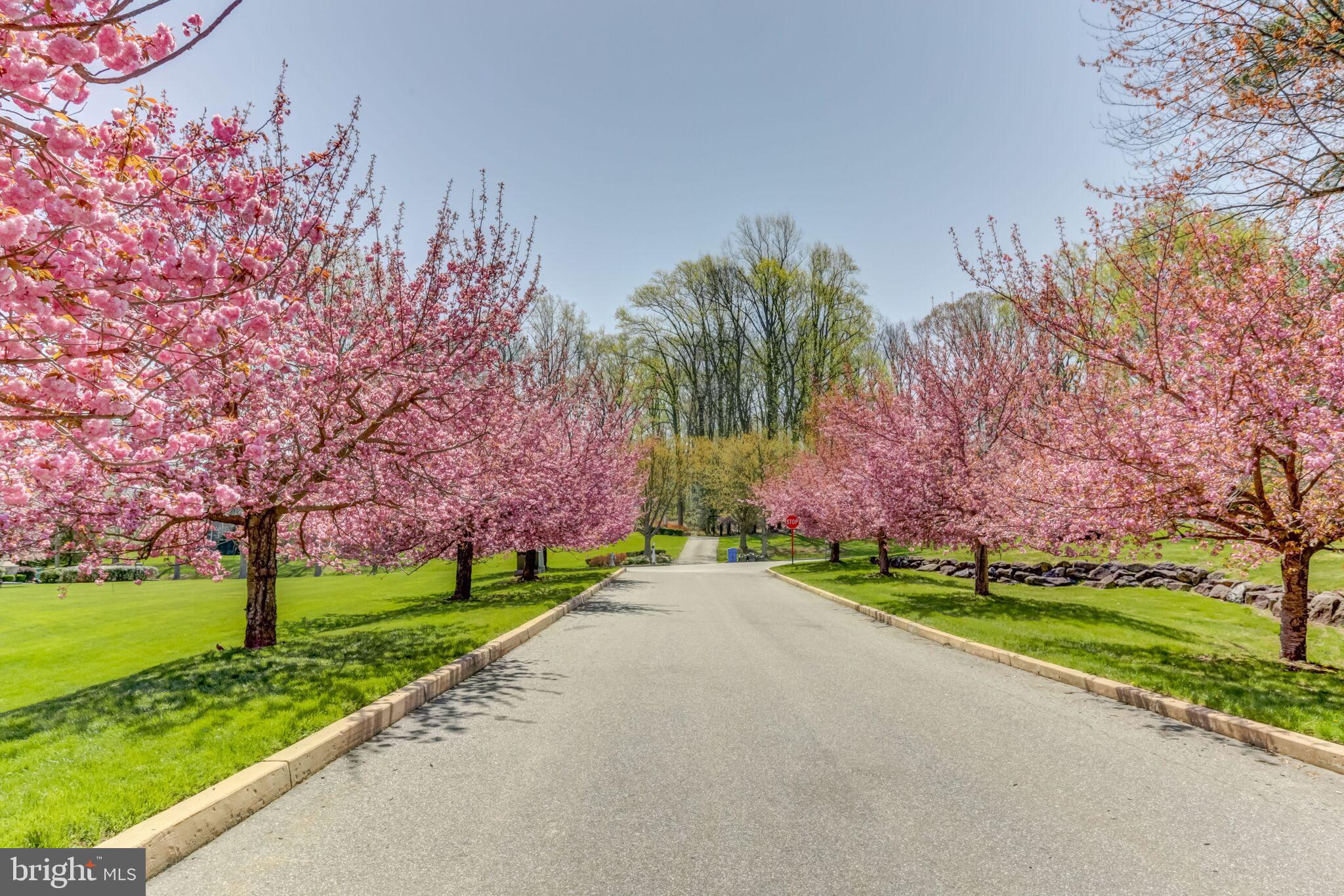 SPRINGTON CHASE - Residential