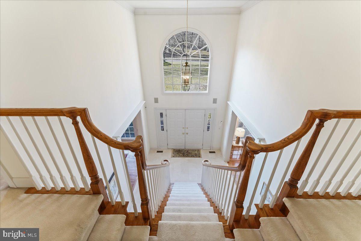 SPRINGTON CHASE - Residential