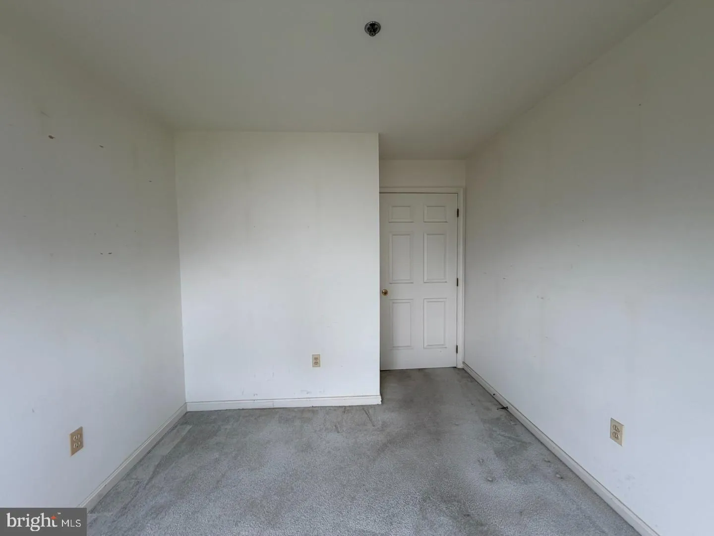 Additional image 57 of 1603 Marion Quimby Drive, Stevensville, MD 21666