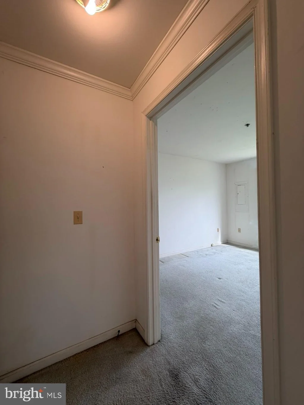 Additional image 29 of 1603 Marion Quimby Drive, Stevensville, MD 21666