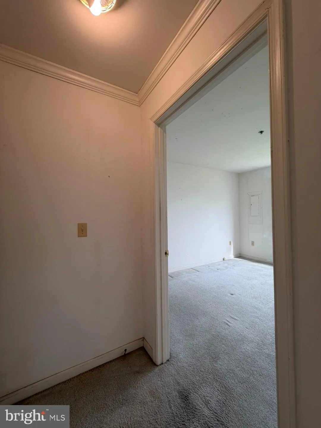 Additional image 62 of 1603 Marion Quimby Drive, Stevensville, MD 21666