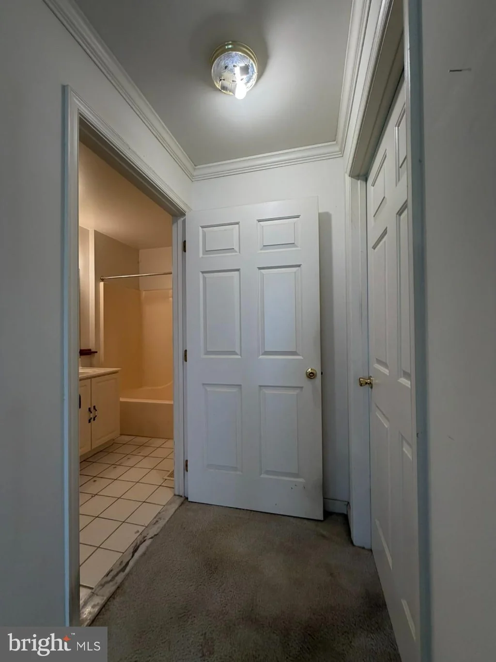 Additional image 26 of 1603 Marion Quimby Drive, Stevensville, MD 21666