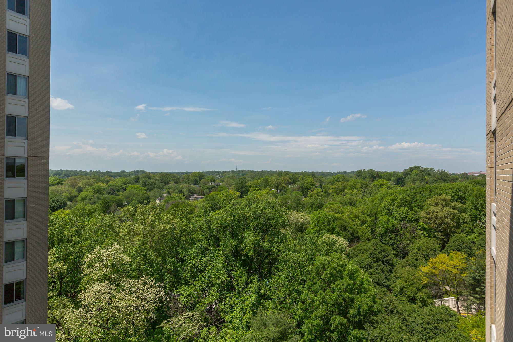 THE ELIZABETH - Residential Lease