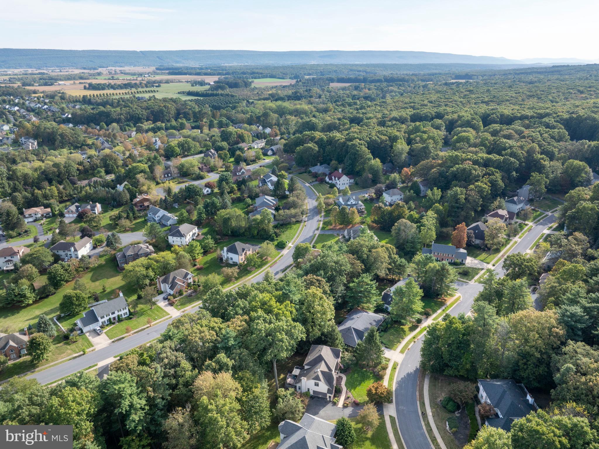 CHESTNUT RIDGE - Residential