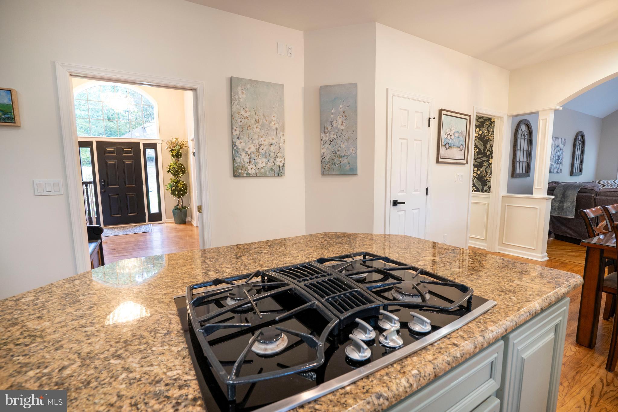 CHESTNUT RIDGE - Residential