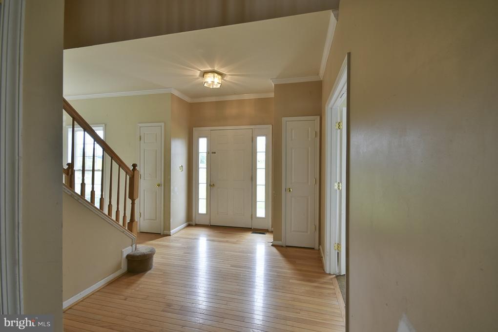 SPRUCE HILL ESTATES - Residential