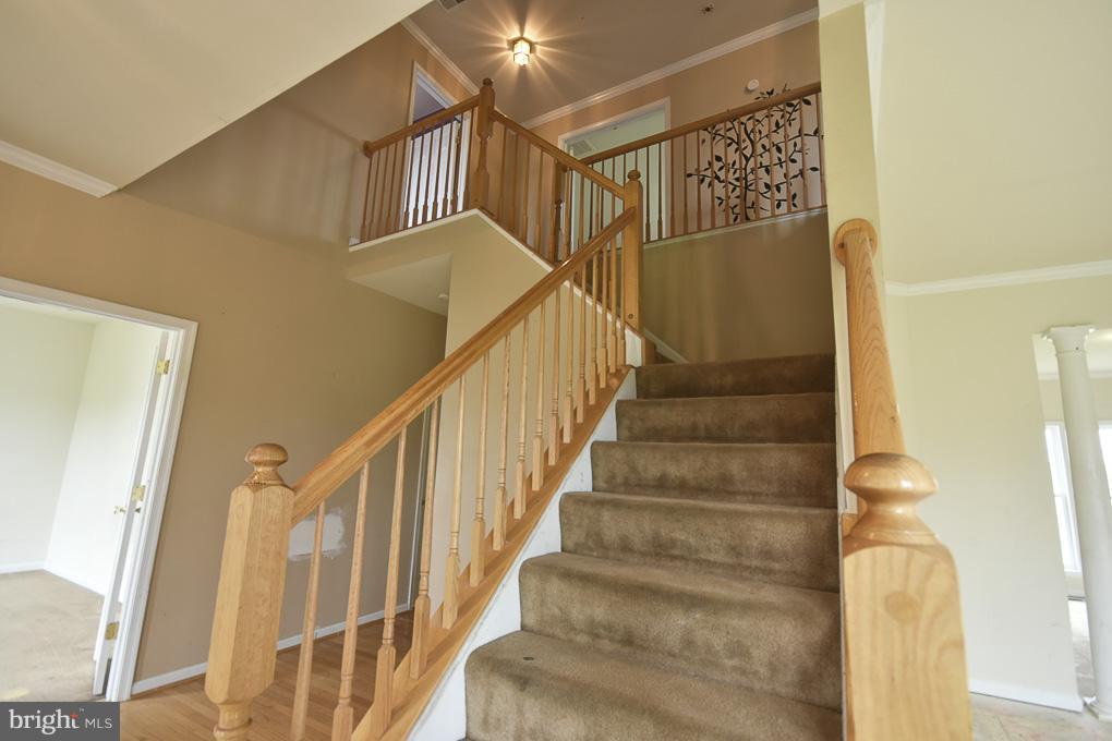 SPRUCE HILL ESTATES - Residential