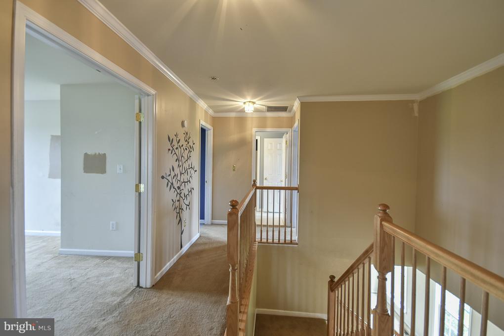 SPRUCE HILL ESTATES - Residential