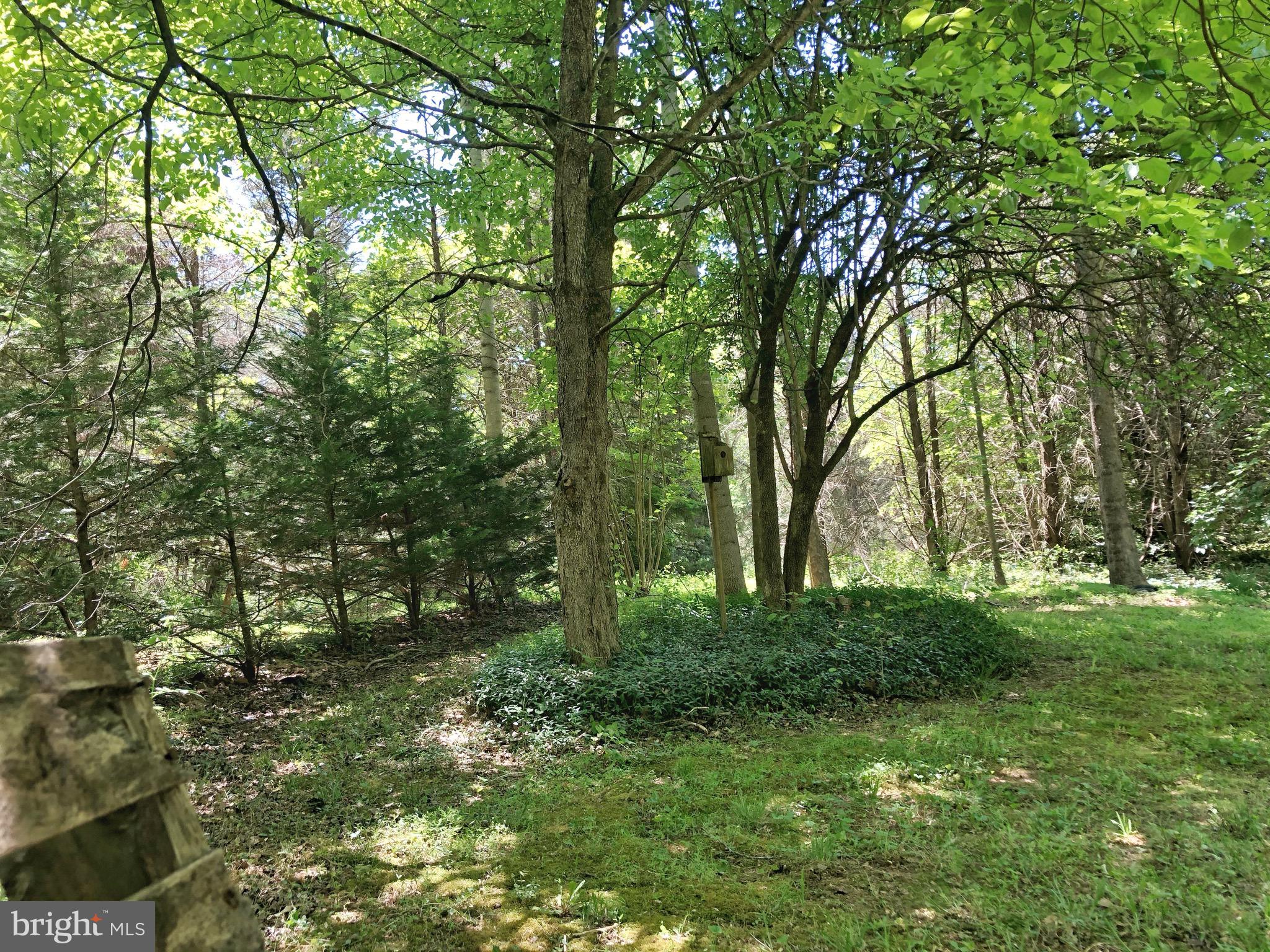 RUNNEYMEDE - Residential